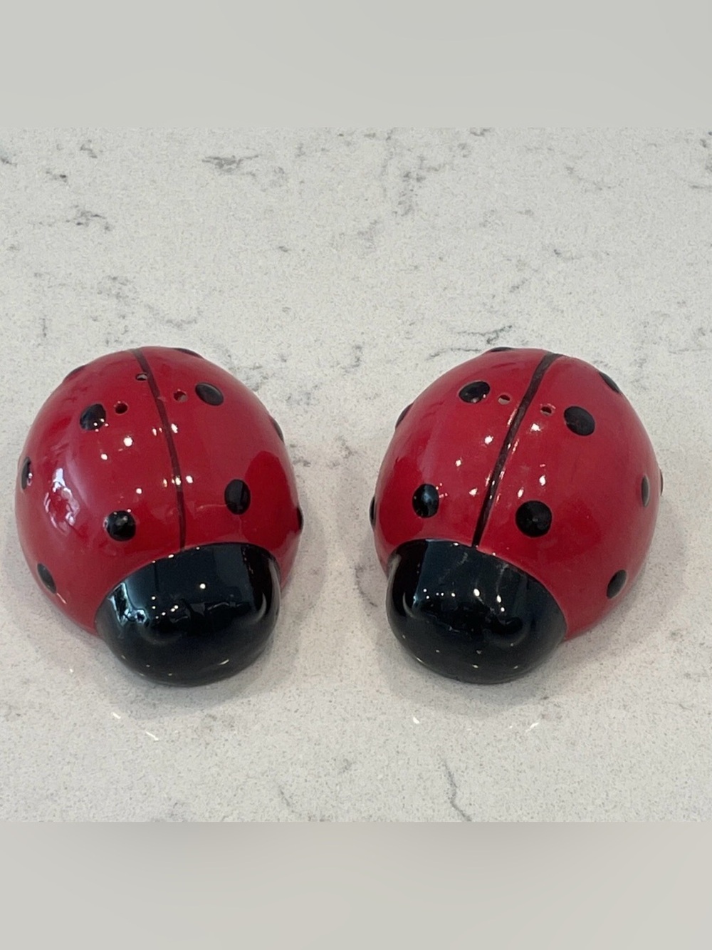 Am I Ceramic Ladybug Salt & Pepper Shakers - Red & Black